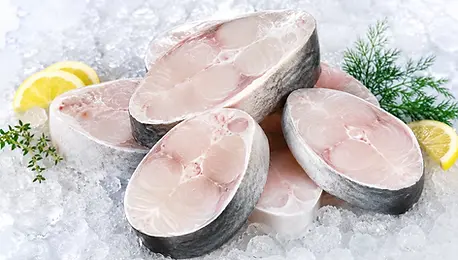 Pangasius