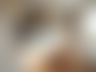 Understanding the Value of Professional Renovation Services