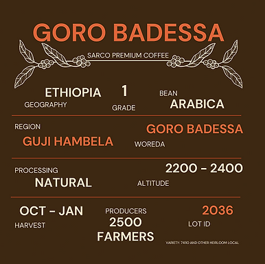 gorbo-badesha.png