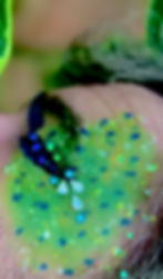 IMG_8750 (1).jpeg