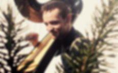 Harp Teacher, Wedding Harpist & Event Harpist London Surrey Sussex Berkshire Kent Essex
