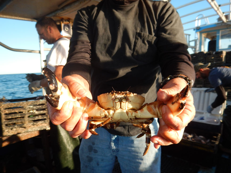DSCN1506.JPG