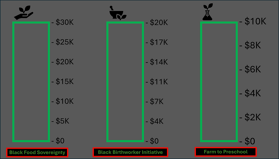 HUG Fundraising Campaign Graphs.2024.05.10.png
