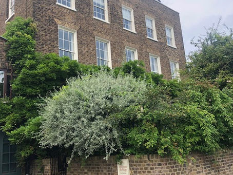 The Art of Wallpaper: Morris & Co in Context, 23 March – 11 August 2024