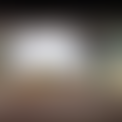 WHS Symposium ‘Art and Wallpaper’, June 11th 2025