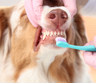 Untitled design (36).png