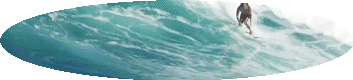 imageedit_18_6261679846.gif