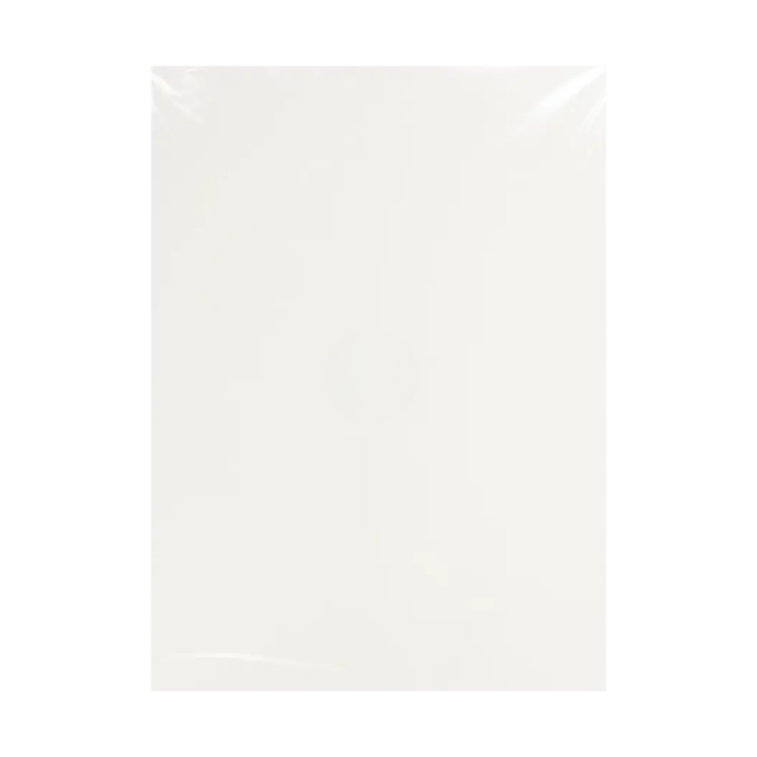 CARTULINA ESCOLAR 48X66 CM BLANCA