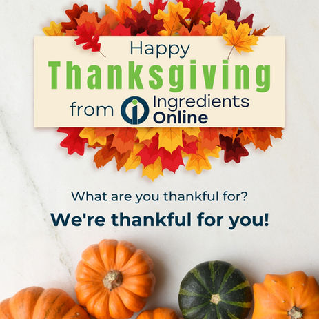 Thanksgiving 2022 Social Post Instagram.jpg