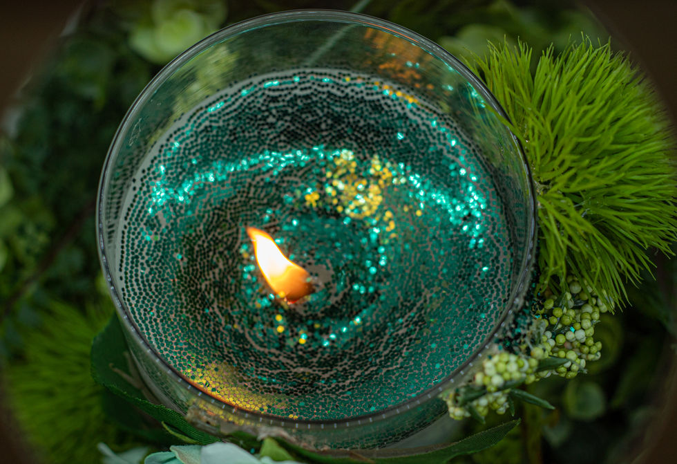 CandelsWEB-19.jpg