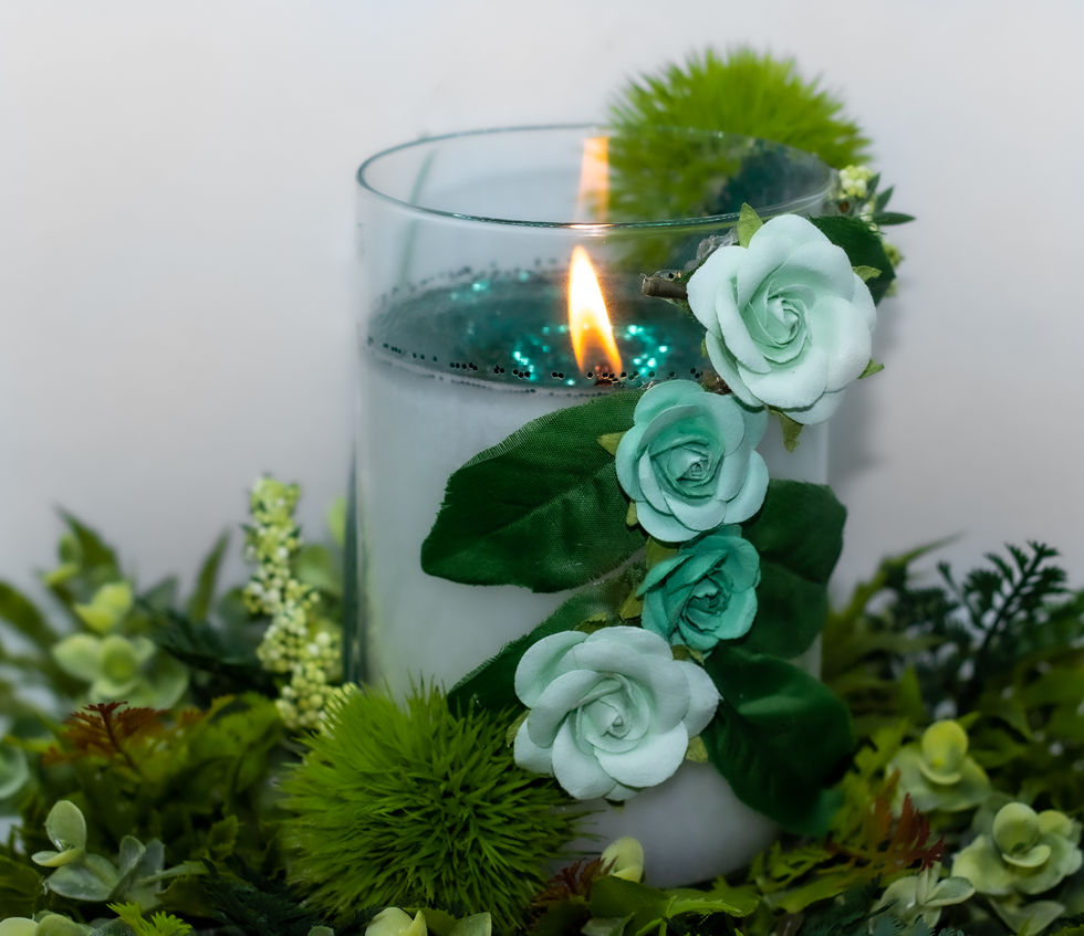 CandelsWEB-18.jpg