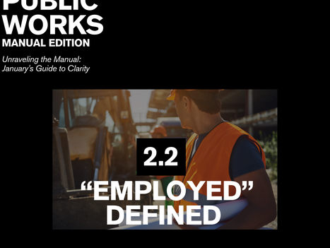 Unraveling the Manual: January's Guide to Clarity 2.2