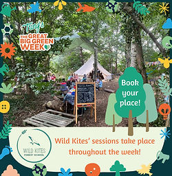 Wild Kites(1).jpg