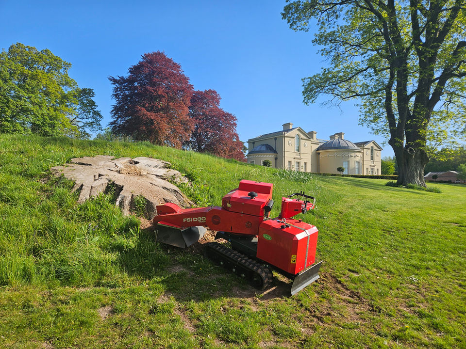 Stump grinding in Hereford using tracked stump grinder to remove large tree stump below ground level