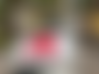 4717 km Road Trip in Tesla Model Y RWD LFP