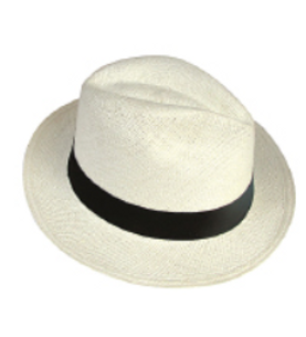 Toquilla Hat M1.png