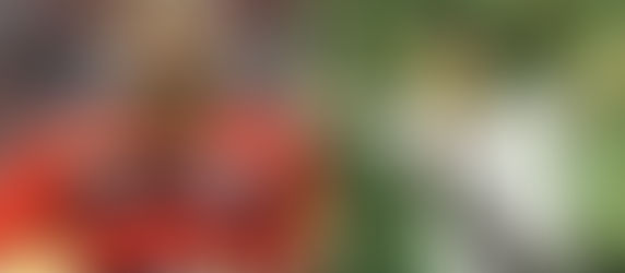 Arena Brasil será inaugurada em Timon com presença de ídolos do futebol