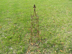 w+i+topiary.jpg