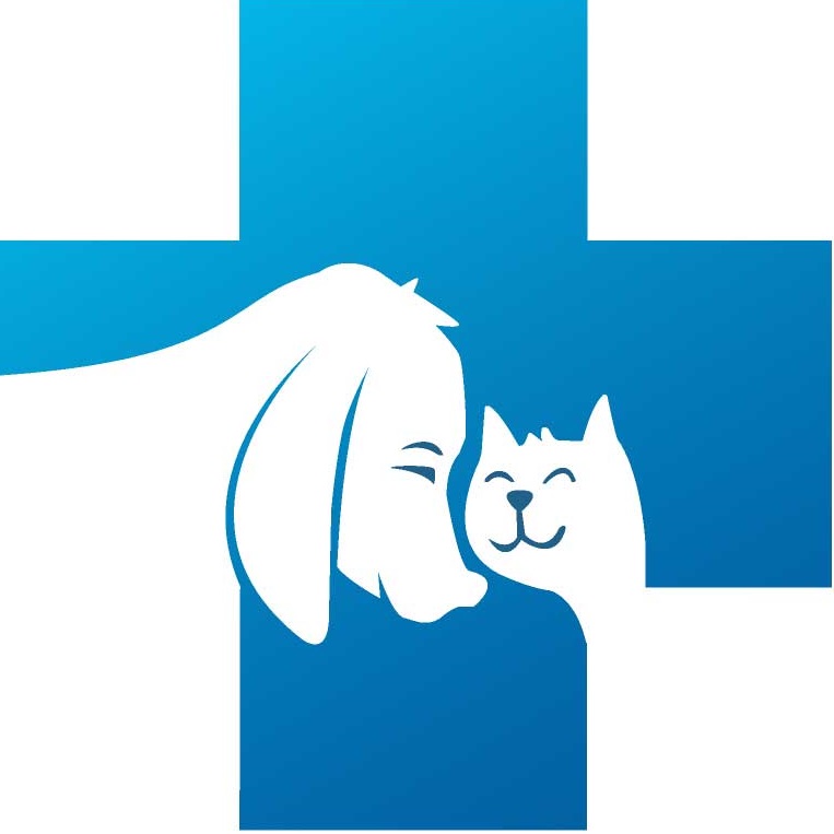 Demodecie Clinique Veterinaire Auae Dr Tissier