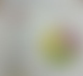 4月 給食だより🌻