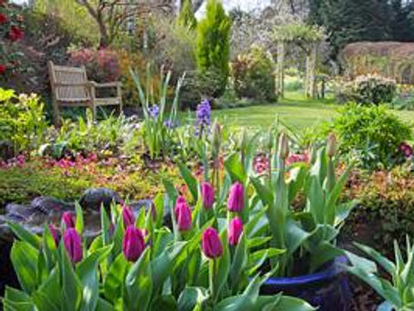 3 Tasks to Boost Your Curb Appeal this Summer!