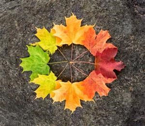 Fall DIY Projects