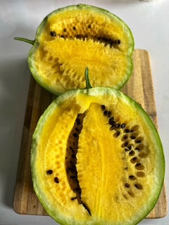 A delicious yellow watermelon harvest that was grown vertically on a trellis in my raised bed.