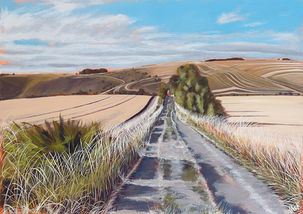 July Early Morning Walk Pewsey Vale