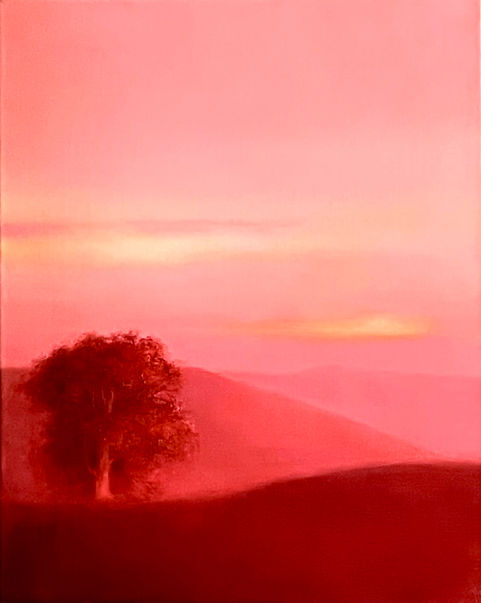 FullSizeRender_edited_edited.jpg