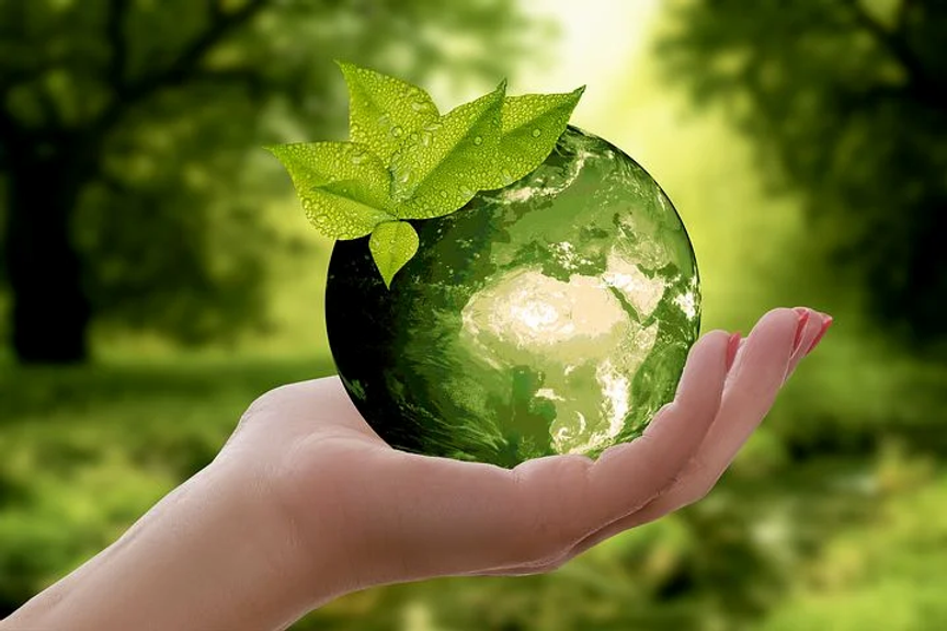 nature-3289812__480.webp