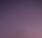 dégradé violet