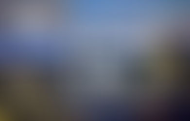 The Inspiration Project - Career talk