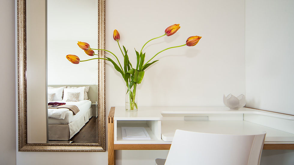 Business-Apartment-zurich.ch