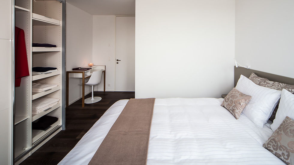 Business-Apartment-zurich.ch