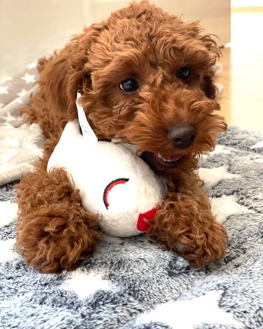 2022-03-16 16.48.31.jpg