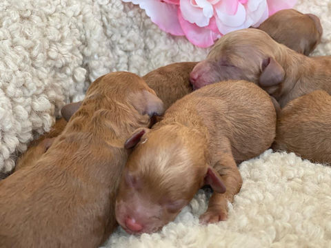 2022-06-01 09.40.24.jpg