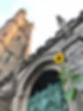 sunflower and cathedral gates.jpeg