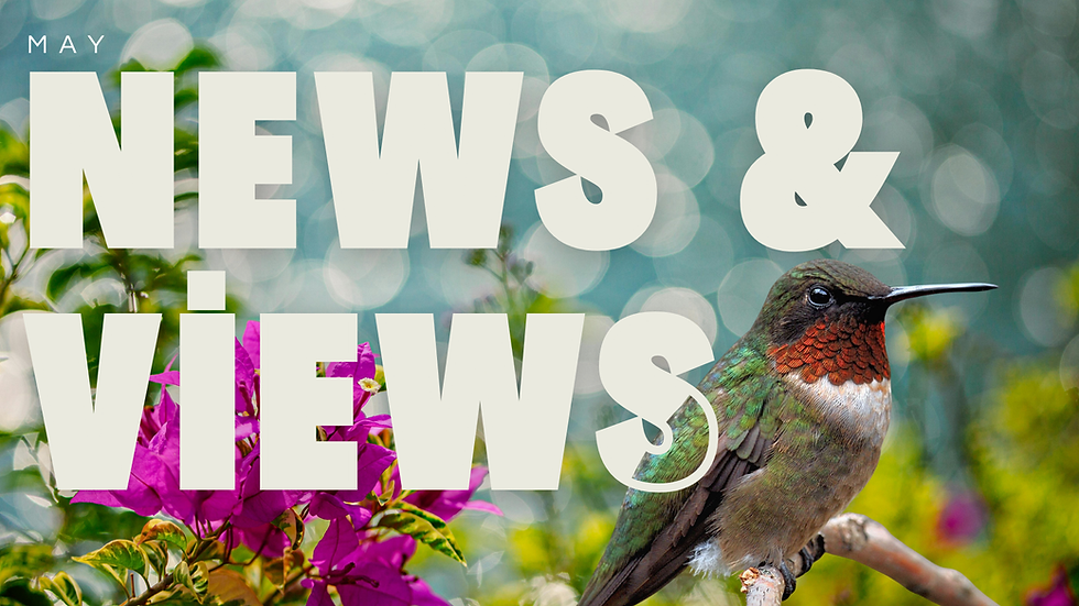 Hummingbird News & Views April