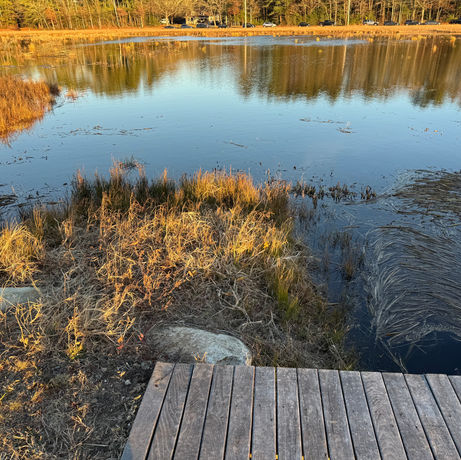 Grand re-opening of Mattapoisett Bogs attracts crowd