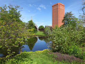 UMass Amherst