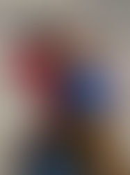 Journée du chien d'utilité à Niort