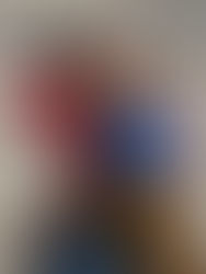 Journée du chien d'utilité à Niort