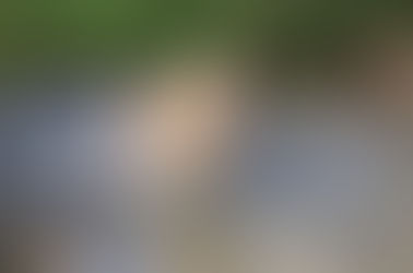 Envie de photos de vos animaux ou avec vos animaux ?