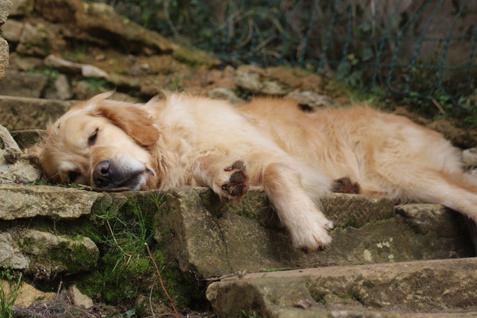 Un matin du mois de Mars...