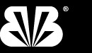 logo_buzzi.gif