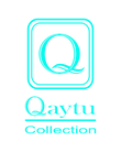 LOGOS QAYTU 2027.png