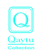 LOGOS QAYTU 2027.png