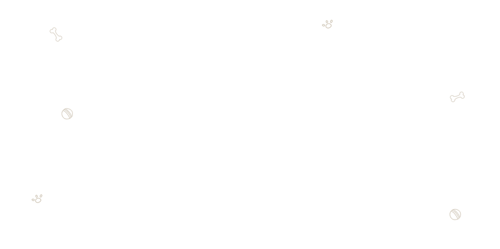 bg-section-5.png