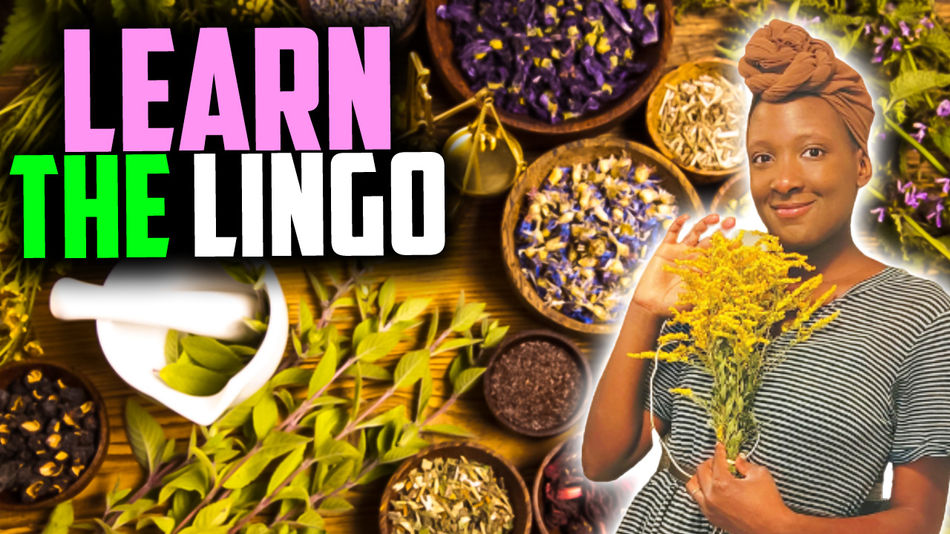 Mastering Herbal Terminology: A Comprehensive Guide to Understanding Actions and Properties