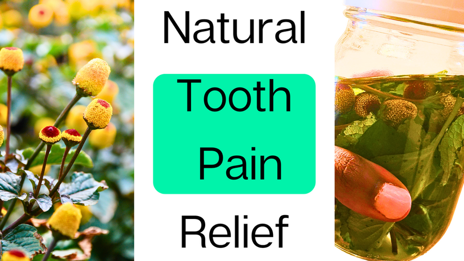 Herbal Mouth Pain Cure: This Tincture Can Change Your Life!